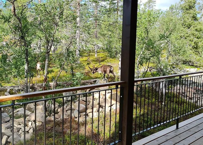 빌라 Hillevi 레비